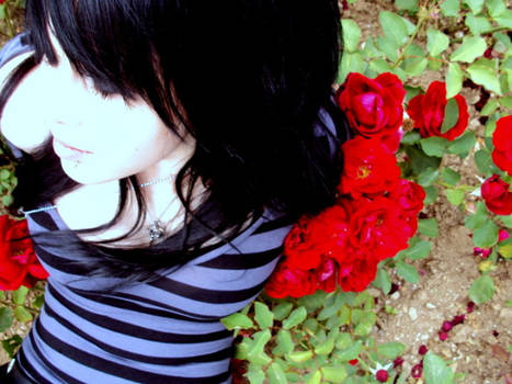 Emo roses