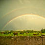 Double Scottish Rainbow