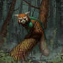 WITCHER DARAH