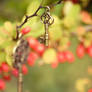Autumn keys