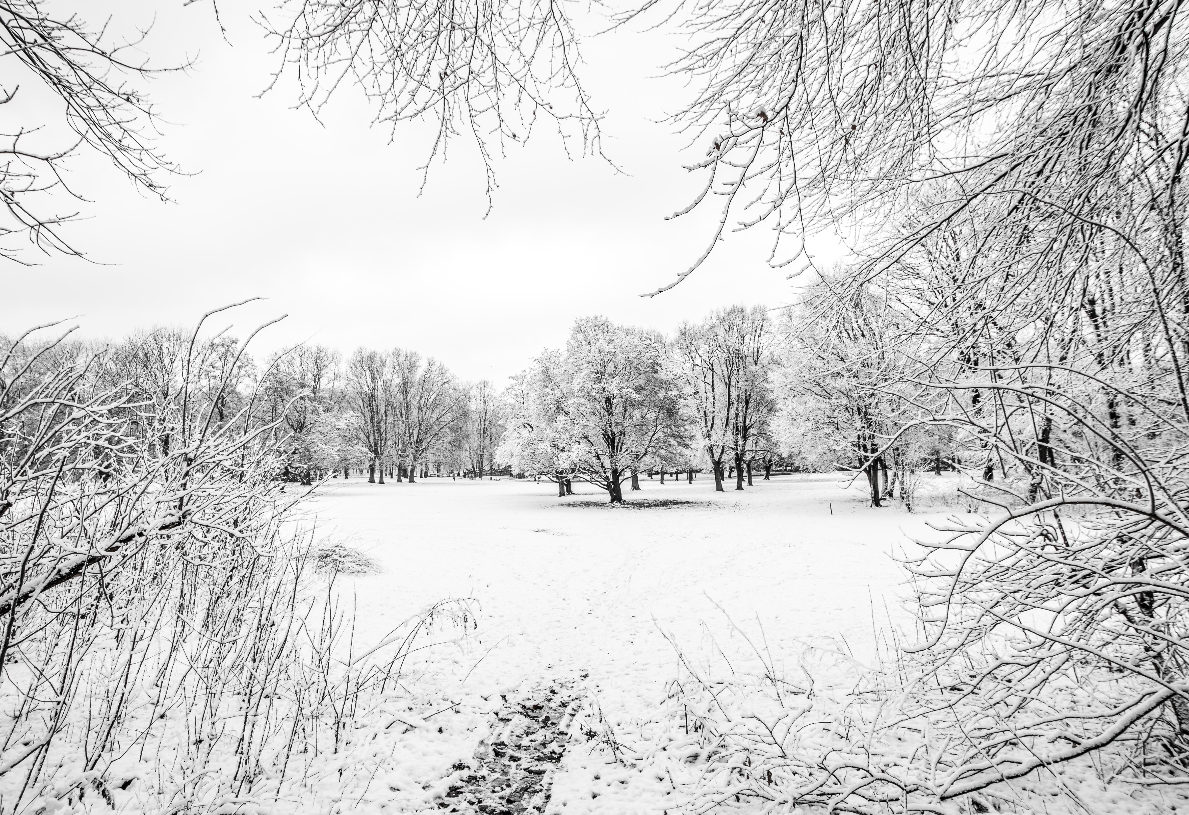 winter window