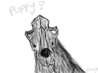 puppy :3