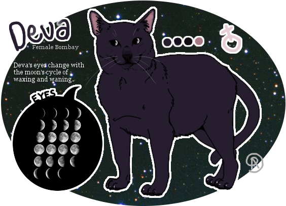 Deva the Lunar Cat