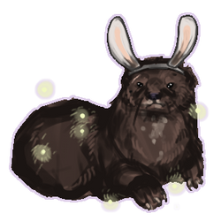 Bunny Otter