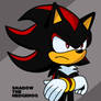 Shadow The Hedgehog