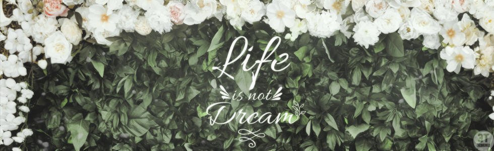 Life is not dream