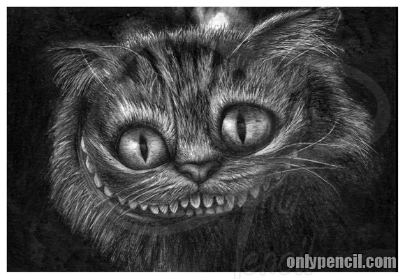 The Cheshire Cat