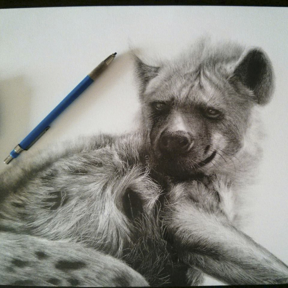 Resting Hyena