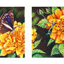 Insect Triptych ACEO