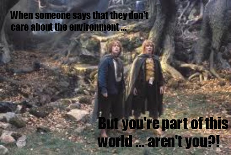 Caring for the Environment (LOTR)