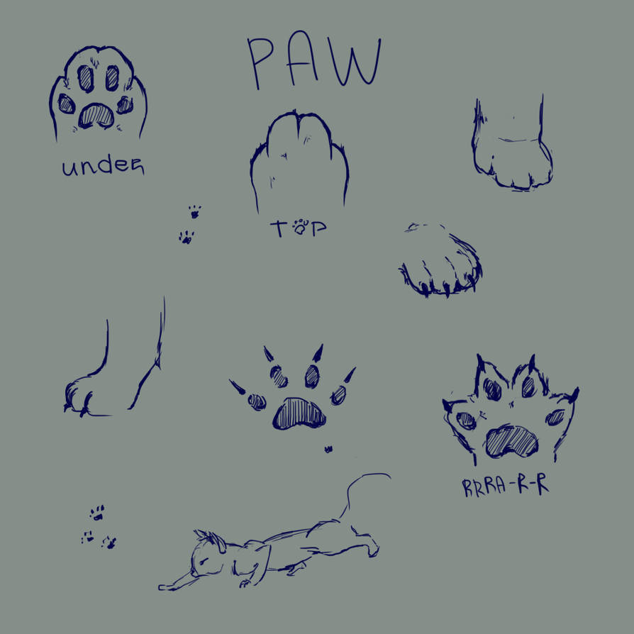 Paw Art Example Paw by Marsalia on DeviantArt