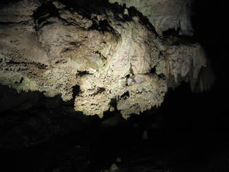 Oregon Caves 1