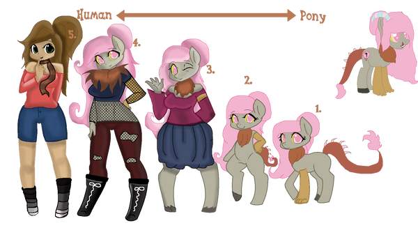 Human Rocking Pony Human to Pony - Feral song by XxStarDragonxX on DeviantArt