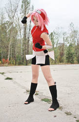 Naruto: Sakura Haruno 2