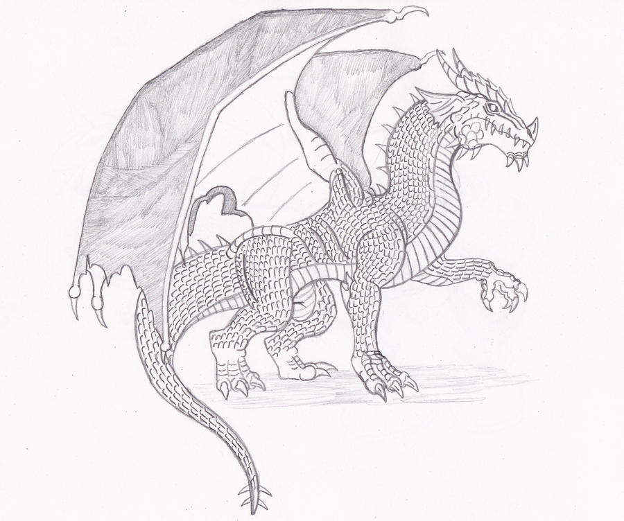Dragon Design by Almaster09 on DeviantArt