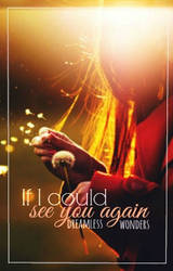 If I Could See You Again - Book Cover