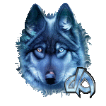 The Wolf of Spring Storms Bust Avatar by EvergreenWolf001 on DeviantArt