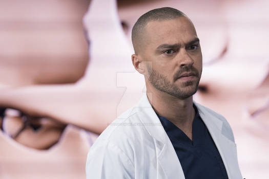 JesseWilliams-QCTubes (10)