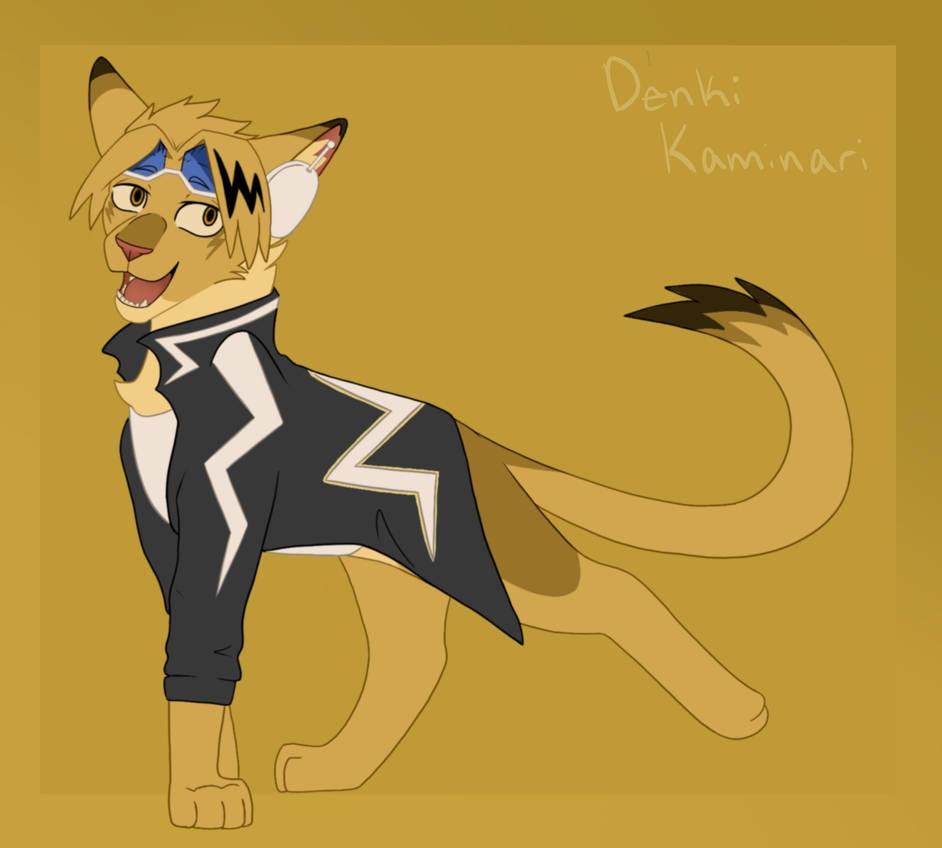 Denki (costume)