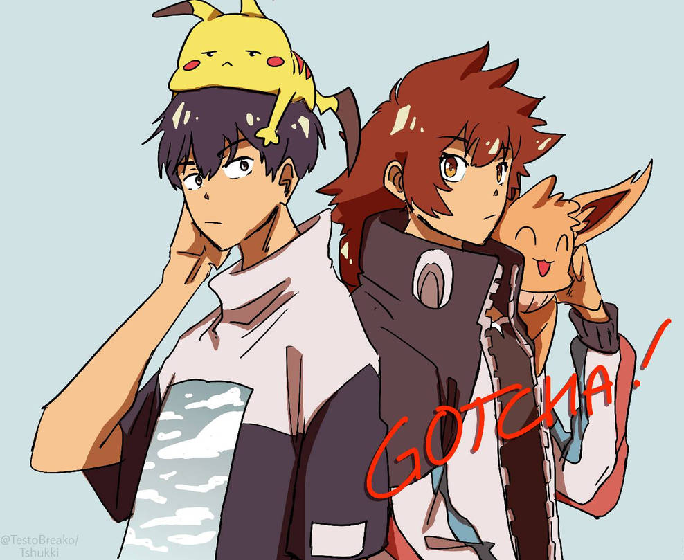 GOTCHA! - Pokemon by Tshukki on DeviantArt