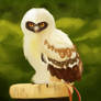 Spectacled Owl