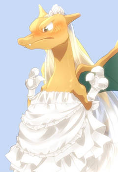 Charizard bride