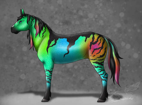 SSO: Rainbow Horse Entry