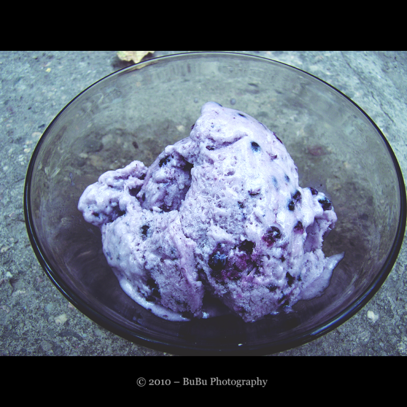 .:Blackberry Ice Cream:.