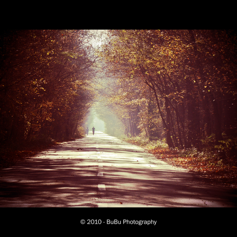 .:Autumn Run:.