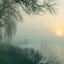 .:Misty River:.