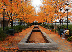 fall colors in dayton