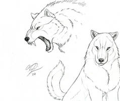 Wolves