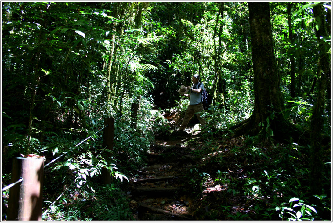 Sendero La Esperanza by Ardback on DeviantArt