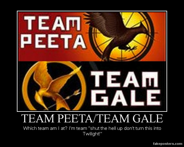 Hunger Games teams