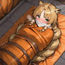 Swire blanket bound