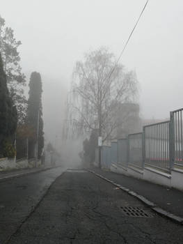 Fog in Prague