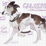 Calsifer Reference