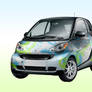 EcoSmart