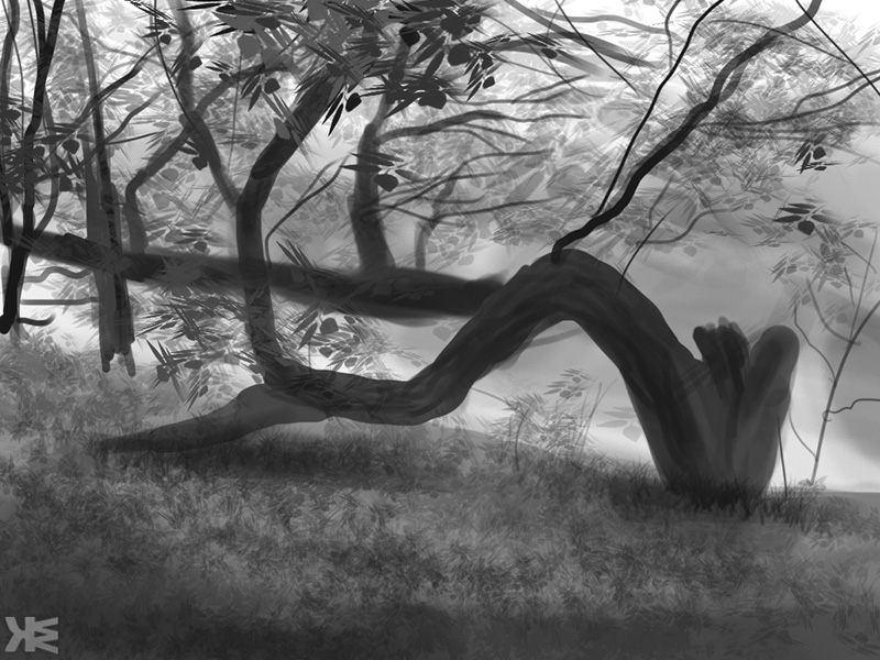 Curvy Tree Value Study