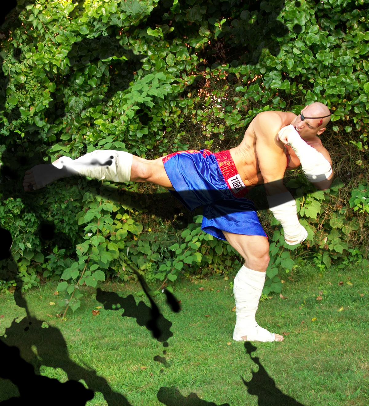 Sagat kicking Sume-i