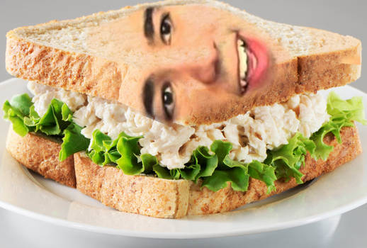 dgcSandwich