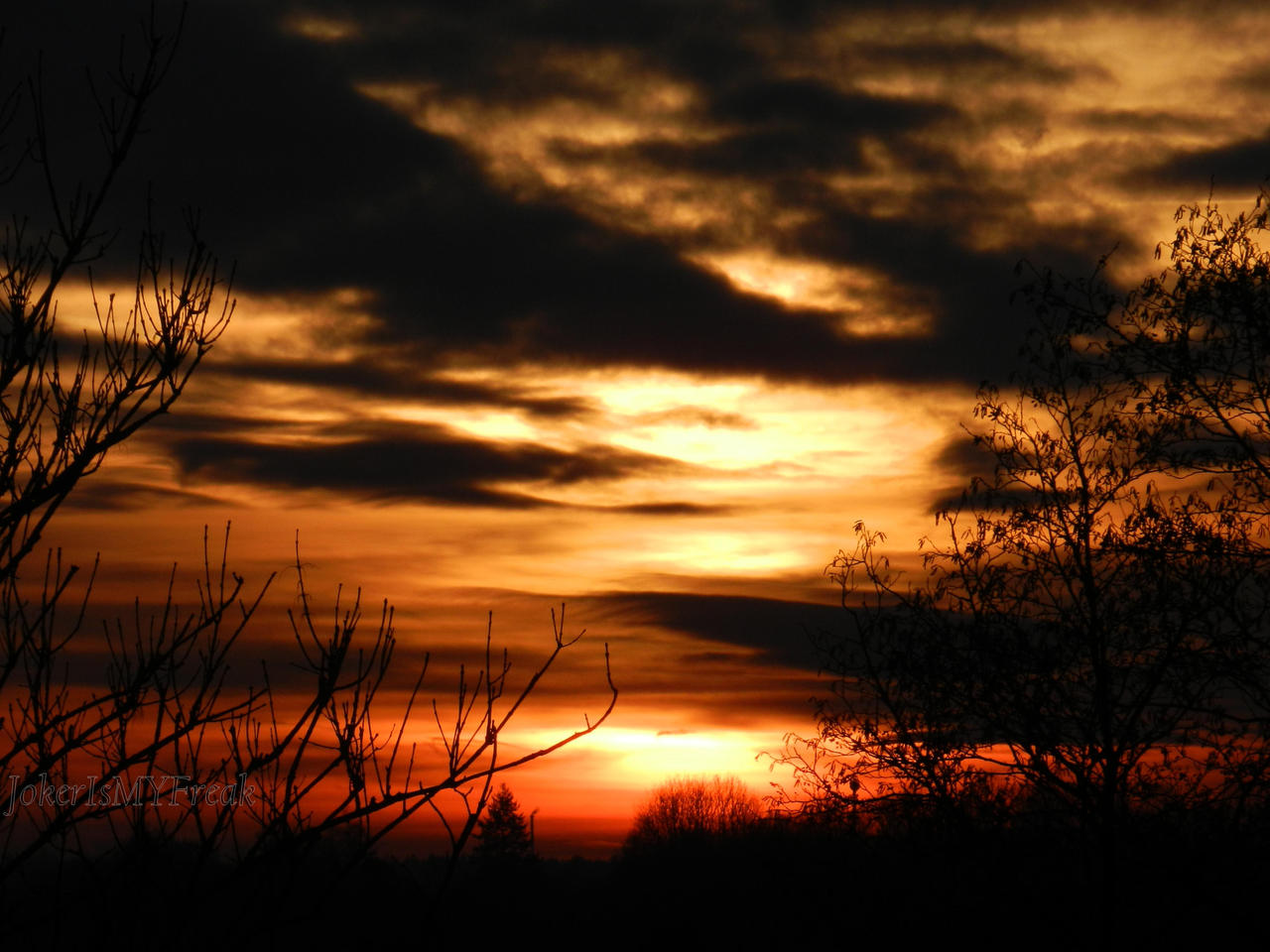 Sunset Shadow Protection Sunset Shadows by gwendolin-zelenka on DeviantArt