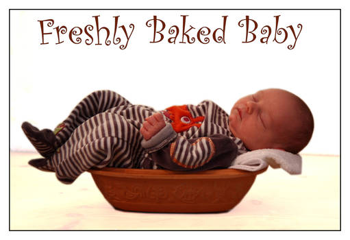 Freshly Baked Baby