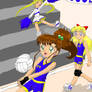 Makoto's Volleyball Game