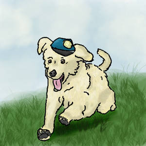 GOLDENDOODLE :'D