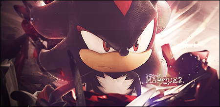 Shadow The Hedgehog Signature