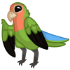 Green Lovebird by tomeofbubbies