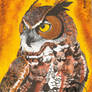 Great Horned Owl