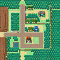 Viridian City