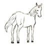 My Horse -1-